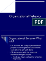 Organizational Behavior Chapter One