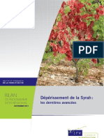 Dépérissement de La Syrah