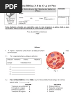 3º t EE sangue_circulatório 12 13