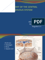 Anatomy CNS Kel 1