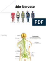 Tecido Nervoso PDF