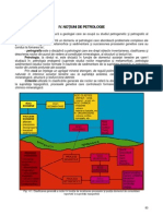 Introducere in Geologie - Curs 04 - Petrologie Magmatica