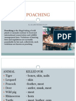 Poaching