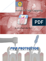 pulp Protection Pulp Cappingg