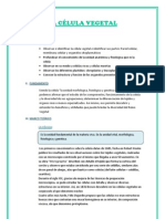 Sub I Reste Documento