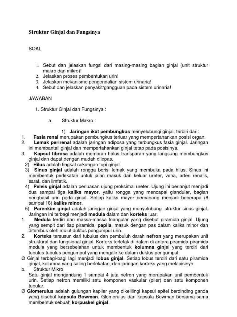 Unduh 61+ Gambar Ginjal Dan Jelaskan Terbaik Gratis HD