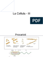 Bc3a - La Cellula III