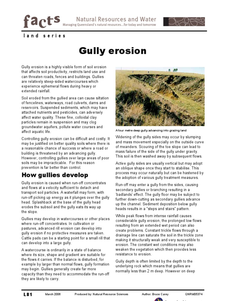 Gully | PDF | Erosion | Surface Runoff