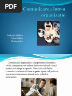 Studiu De Caz Privind Comunicarea
