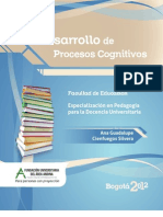 Desarrollo de Procesos Cognitivos PDF