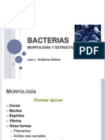 BACTERIAS.pptx