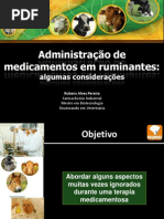 Aplicação de medicamentos em bovinos