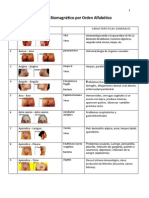 pares_biomagneticos_por_oden_alfabetico.pdf