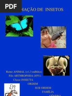 irradia��o de pragas.pptx