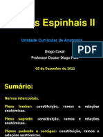 Aula No 38 - Slides - Nervos Espinhais II - Aula 38