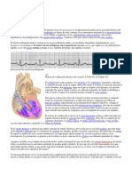 Electrocardiograma Fases de Repolarizacion Miocardica