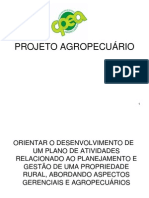 Projeto Agropecuario