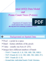 Bit Sequential (BSQ) Data Model and Peano Count Trees (P-Trees)