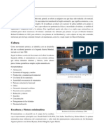 Minimalismo PDF
