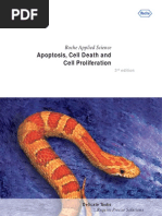 Download Apoptosis Manual by bibeksd796 SN13484117 doc pdf