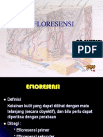 Efloresensi 2