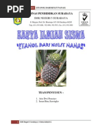 Download 83910661 Karya Ilmiah Etanol Dari Kulit Nanas by Rega Linza SN134882454 doc pdf