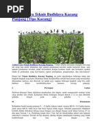 Download Artikel Cara Teknis Budidaya Kacang Panjang by sirilussirhi SN134887760 doc pdf