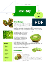 Kiwi City 2 2