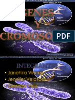 Genes y Cromosomas