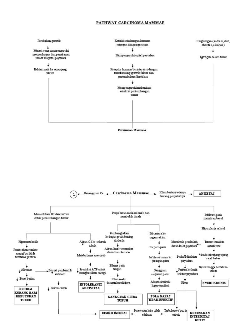 Patway CA Mammae