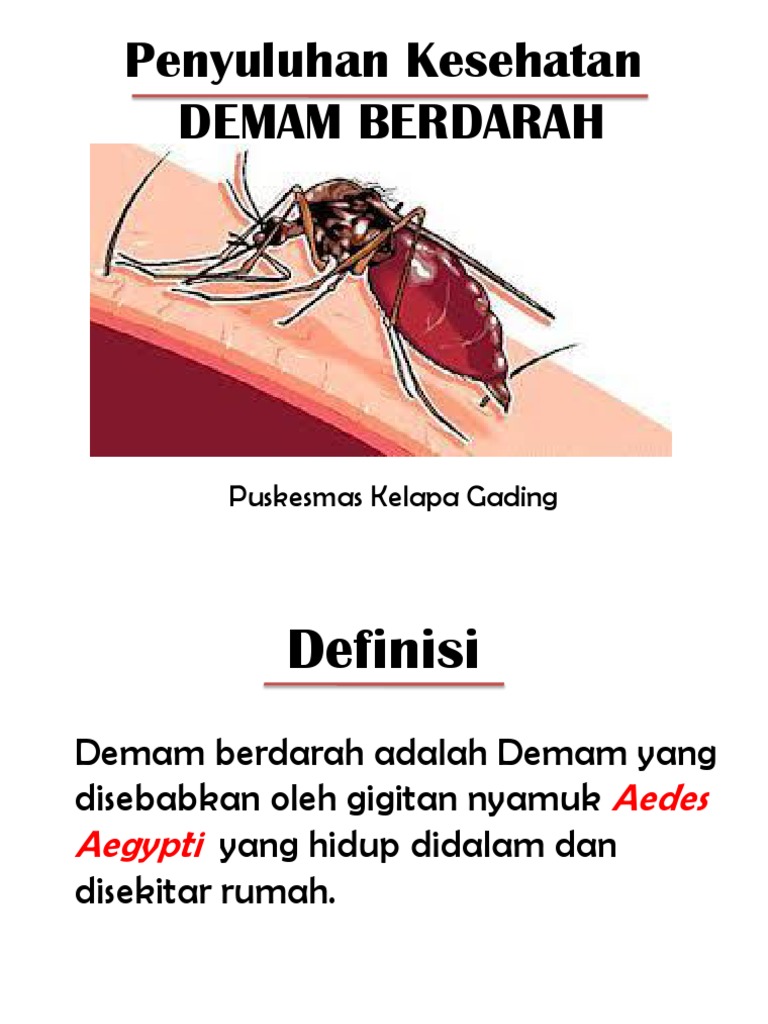 Penyuluhan Dbd Fix Ppt
