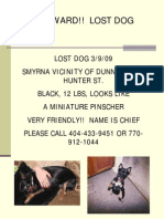 Reward!! Lost Dog Lost Dog 3/9/09 Smyrna Vicinity Of
