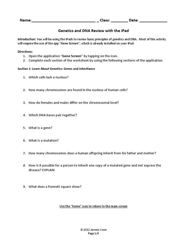 genetics-and-dna-review-worksheet | Genetic Disorder | Genetics