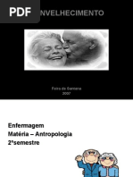 ENVELHECIMENTO