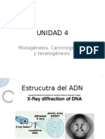 UNidad 4 Carcinogenesis Teratogenesis Mutagenesi PDF