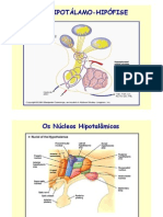 Aula 2-Hipotálmo-Hipófise GH PRL