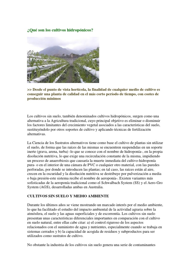 El Huerto Hidropnico Tipos Ventajas Y Desventajas