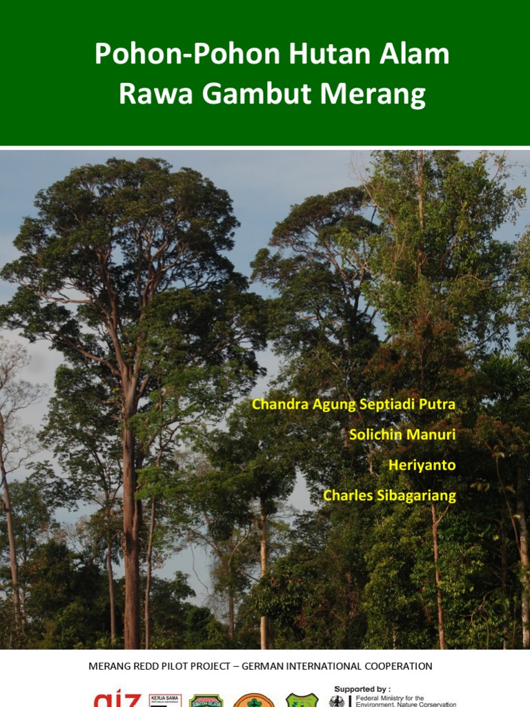 Buku Pohon-Pohon Hutan Alam Rawa Gambut Merang