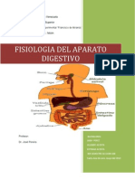 Trabajo Del Sistema Digestivo