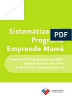 12 Programa Emprende Mama