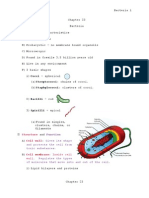 Chapter 23 Bacteria