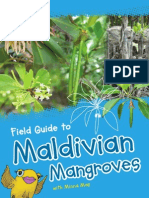 Mangroves Guide Maldiva