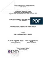 Cauich J. (2012).Robo, penalidad, consecuencias y posibles soluciones. UNID. Tizimín, Yucatán.
