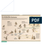 1b.Evolucion H. Atapuerca.pdf