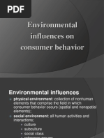 Environmental Influences On Consumer Behavior