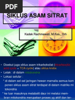 Download SIKLUS ASAM SITRATppt by khaseadaniel SN135062583 doc pdf