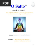 119253974 Salto Quantico