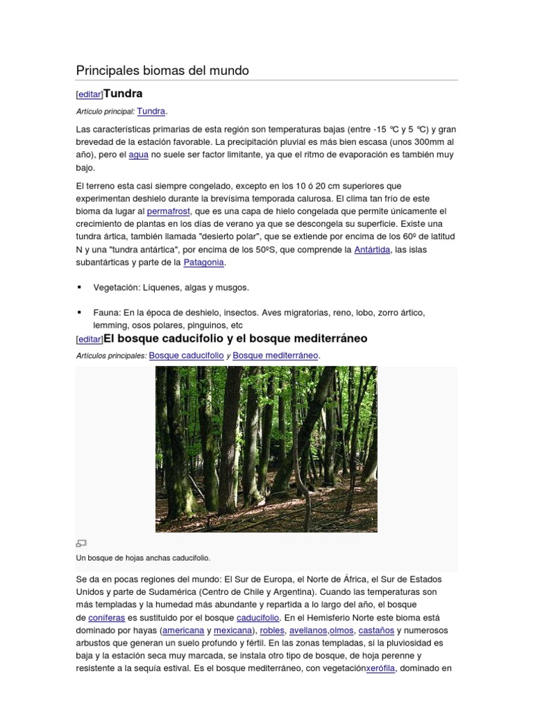 Principales biomas del mundo | PDF | Desierto | Selva