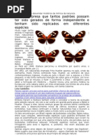 Cientistas tentam desvendar mistérios