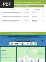 Download Ple Phytoremdiation by Cluster Eco Origin SN135108168 doc pdf